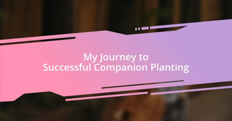 My Journey to Successful Companion Planting