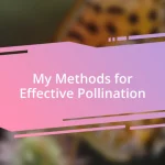 My Methods for Effective Pollination