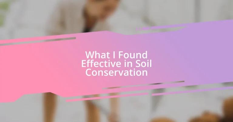 What I Found Effective in Soil Conservation